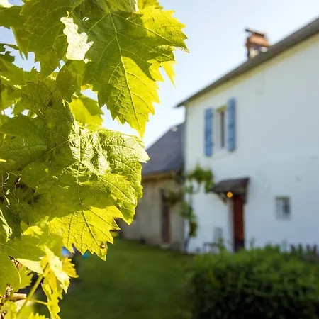 Pyreneasy 3 Gites, 8 Bedrooms For A Large Group *
